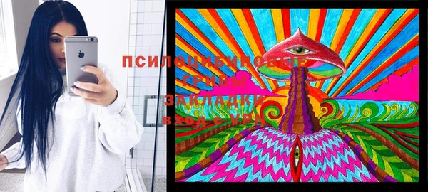 соль ск Аркадак