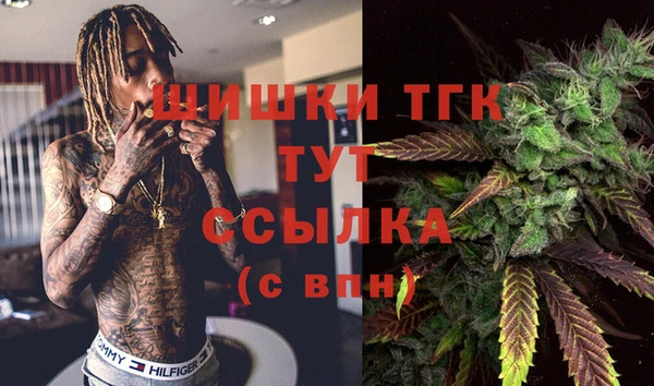 соль ск Аркадак