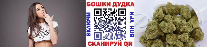 Каннабис Amnesia  Купить закладки  Починок 